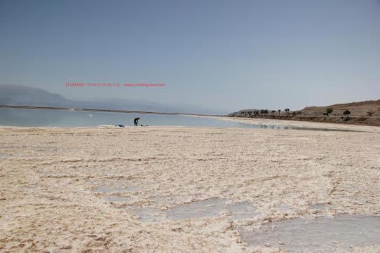 Nadia Hosting Dead Sea Villa Neve Zohar Buitenkant foto